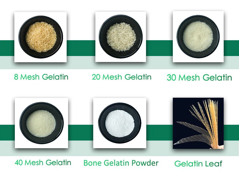 Gelatin Powder (Gelatin) CAS No. :9000-70-8